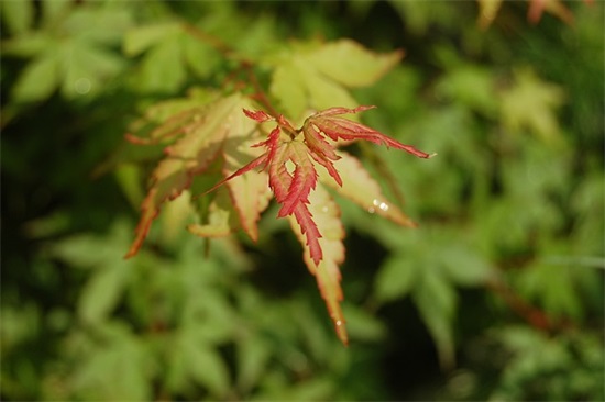 理发店名字大全800个