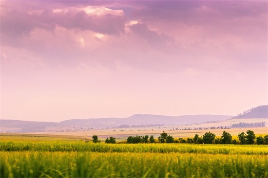 cf名字英文600个