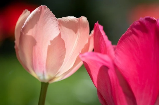 世界名人名言录100句