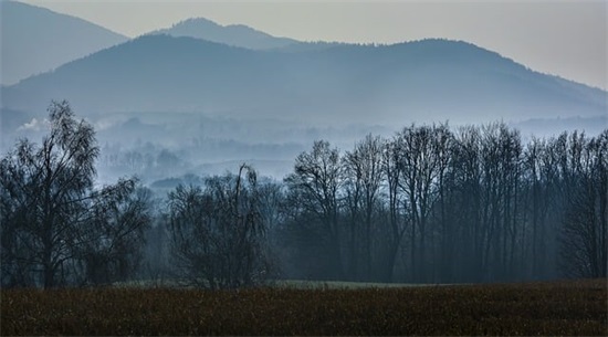 劝勉勤学的名言警句83句
