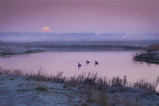 关于感恩的名人名言 与感恩有关的名言警句