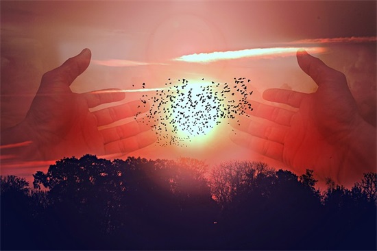 自强的名言80句