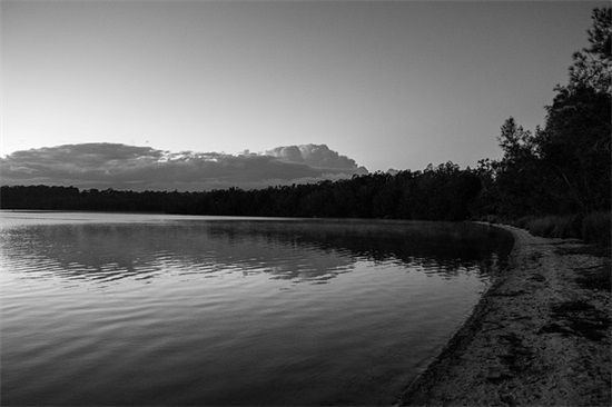 关于读书见解的名言