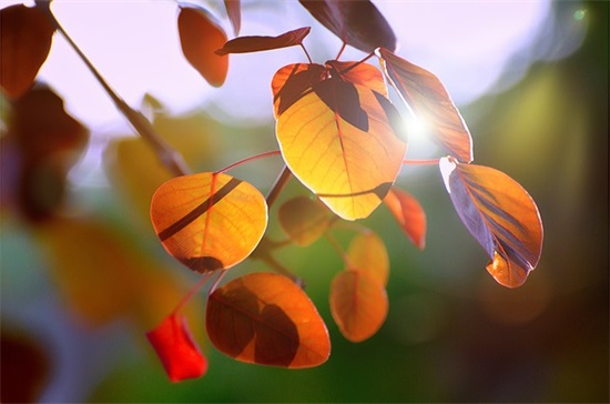 大学名言警句励志97句