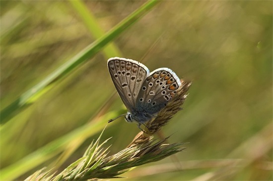 职场成功的励志名言名句