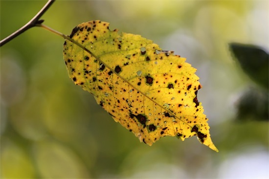 成功励志名言90句