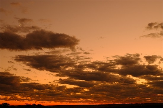 刻苦读书的名言
