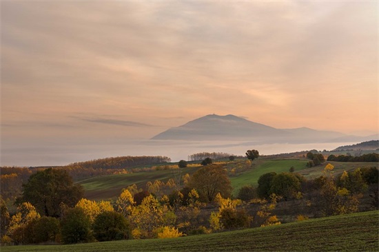 关于孝敬的名言警句79句