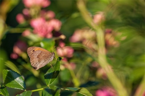 廉洁修身名言警句82句