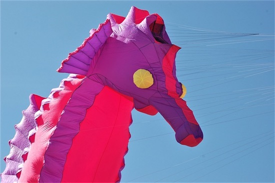 不惧怕挫折名言82句