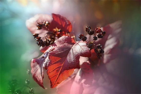 礼貌的名言82句