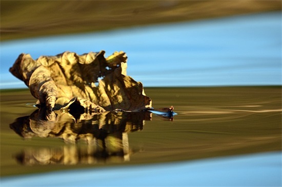 关于环保标语有哪些简短66条