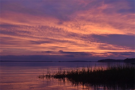 世界无烟日标语30条