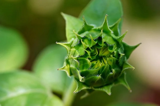 男生两字伤感文艺网名_梦毁