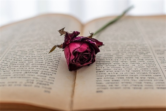 闺蜜面包卫生巾广告词