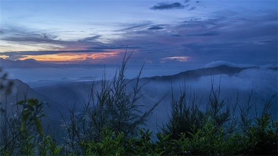 担心的反义词是什么 标准答案