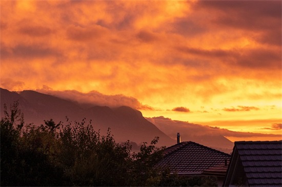 老鼠钻进书箱里的歇后语