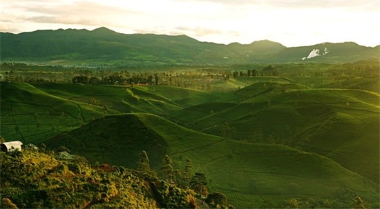 成人谜语大全及答案