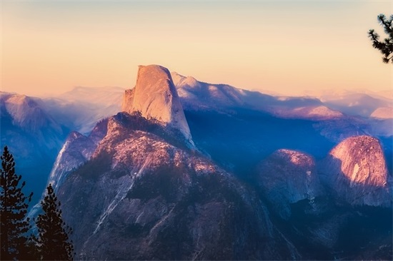 猫捉老鼠狗看门的歇后语