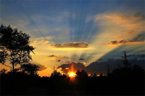 带着平顶帽，身穿圆筒祅，虽然一只眼，暗中逞英豪(打一日常用