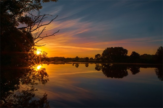 早上楼前复习(打一字)