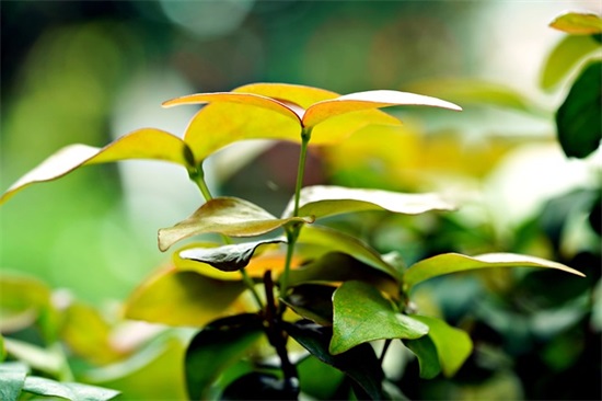 关于雨的歇后语大全