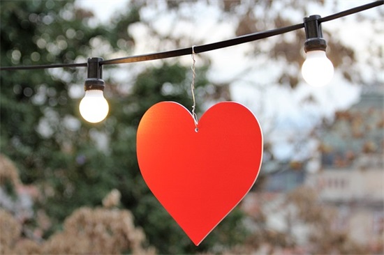 花心 (打一成语)