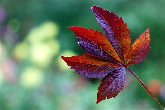 说话最多 (打一成语)