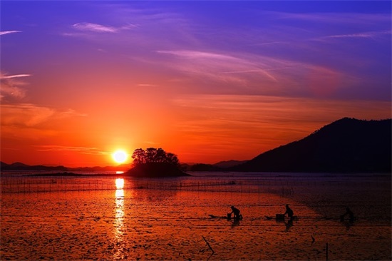 不畏惧火(猜一字)