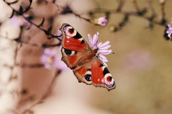 什么东西又大又小？