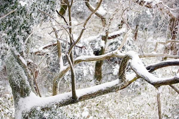 你家小区物业服务怎么样？官方评价结果来了！