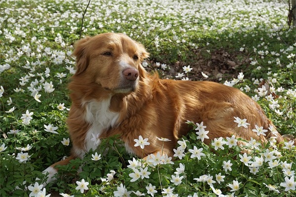 韩国料理加盟店10大品牌