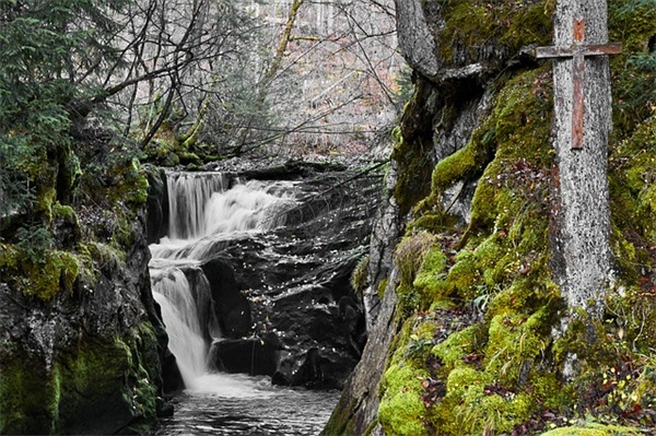 冷菜的31种调味汁的配制方法有哪些