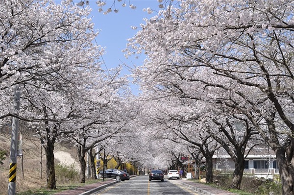 食品添加剂有哪些分类？