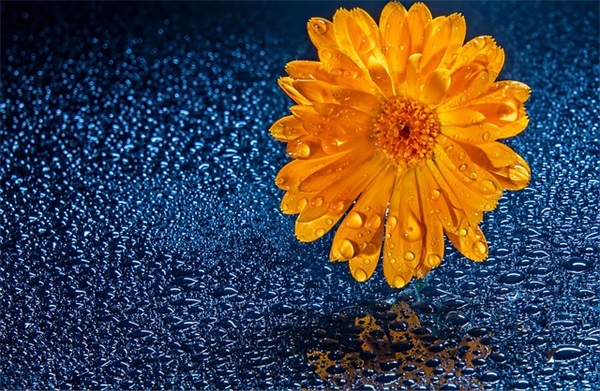 大红门二手家具市场