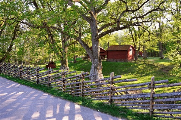 2024元旦说说配图