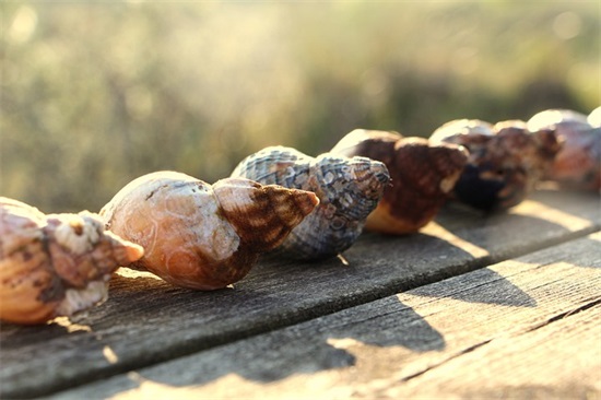 感慨时光流逝的说说