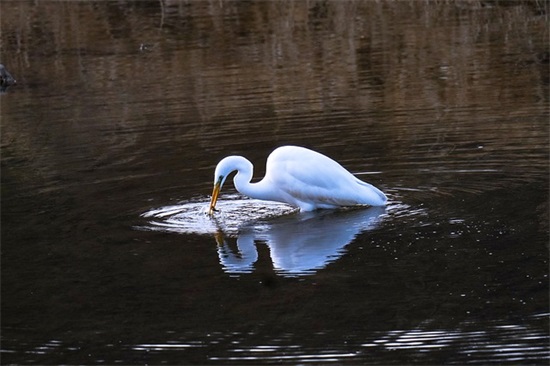 背井离乡的说说配图