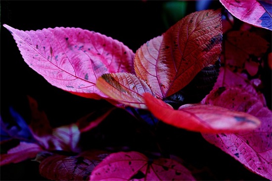 形容回农村的说说