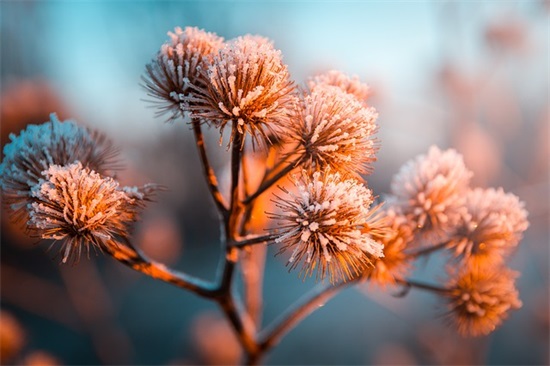 结婚12年周年纪念日说说