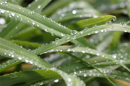 不在乎的感觉真好的说说