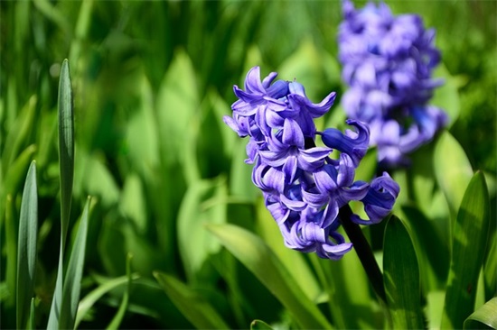 跟自己说一句晚安的说说