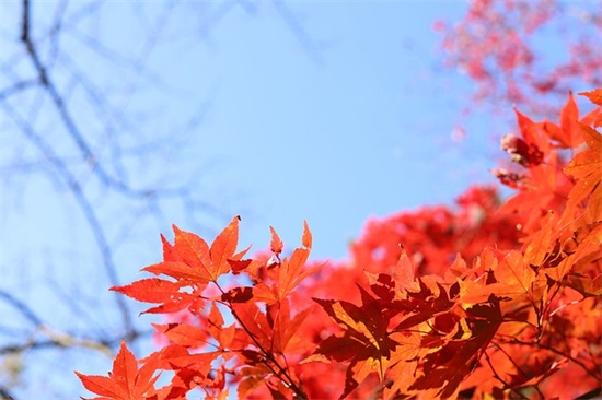 付出回报的句子说说