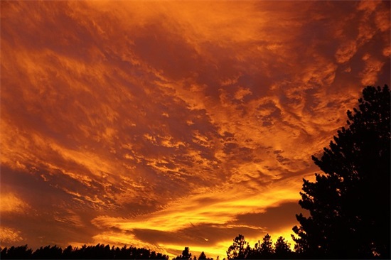 过年发的说说女生