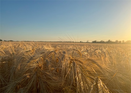 姓陈的男孩帅气有涵养的名字