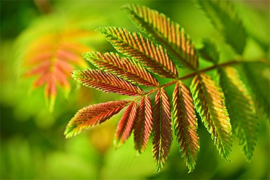 2025年公司起名大全330个，最吉利好听的公司名字