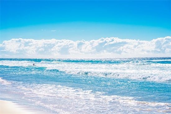 洋气的食品公司名字,高端大气的食品公司名称