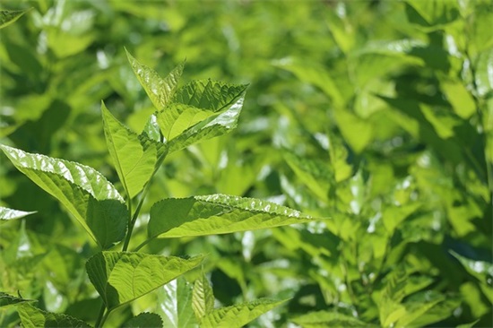 商贸公司起名大全参考320个，贸易公司名称大全简单大气