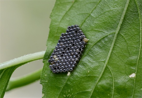 开公司取公司名字310个，大气吉利公司名字