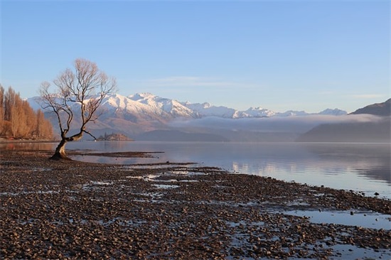 有限公司名字参考大全300个，比较顺口的公司名字最新版